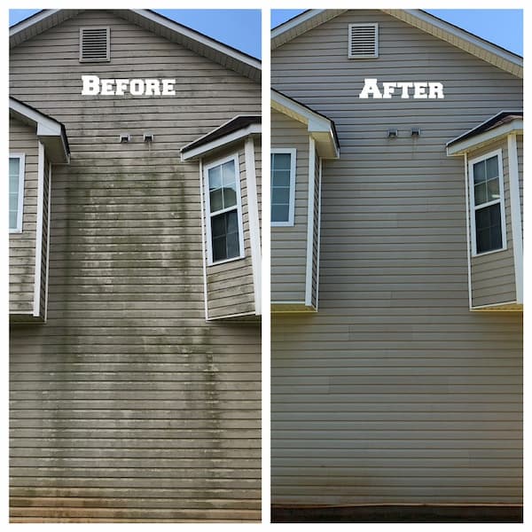 House Washing to Remove Algae Build-Up