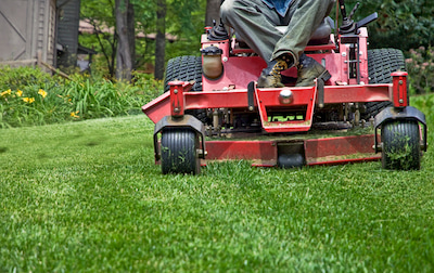 Lawn maintenance